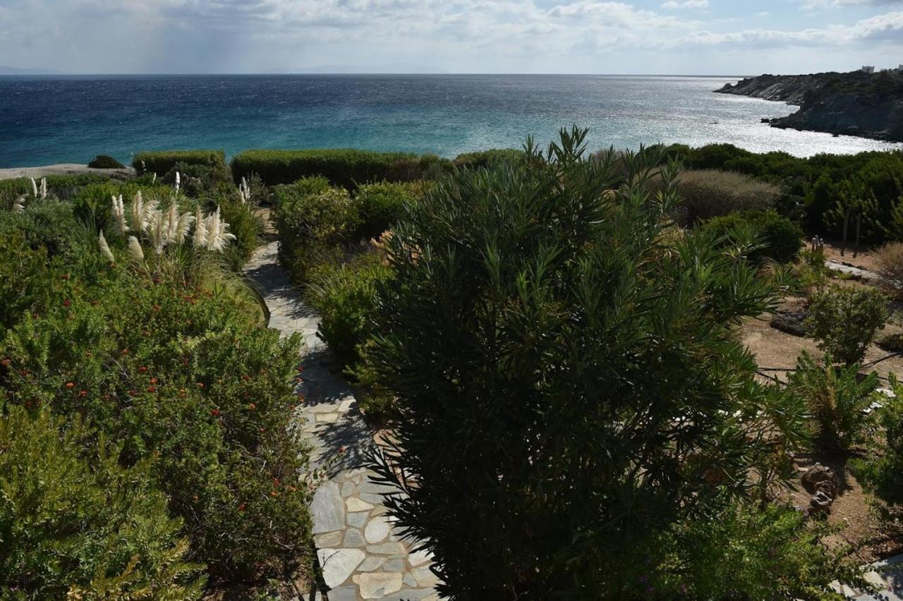Sophia Villa Paros - Beachfront Villa At Lolantonis Drios Exterior foto