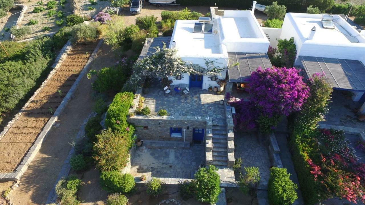 Sophia Villa Paros - Beachfront Villa At Lolantonis Drios Exterior foto